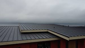 Professional Roofing services in Rio Vista, CA